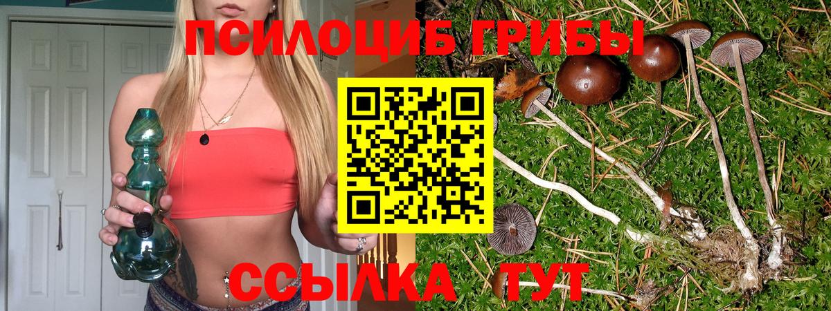Галлюциногенные грибы Psilocybe Краснотурьинск